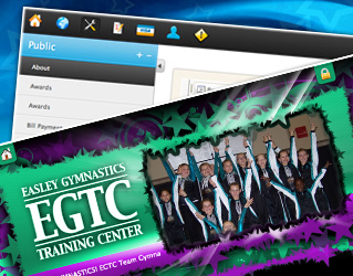 components of a cheerleading website